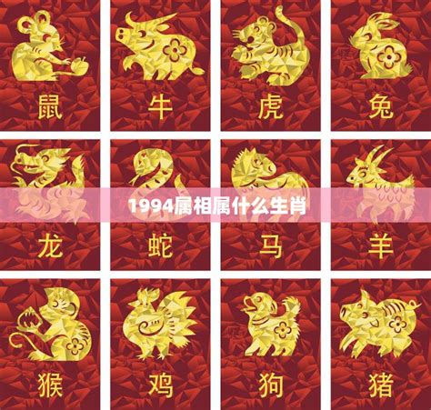 生肖 1994|1994年属什么生肖 1994年出生是什么命